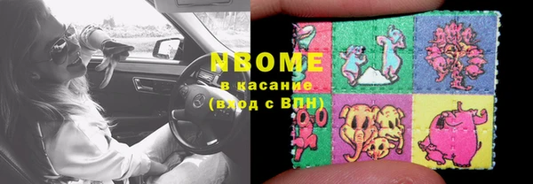 хмурый Мегион