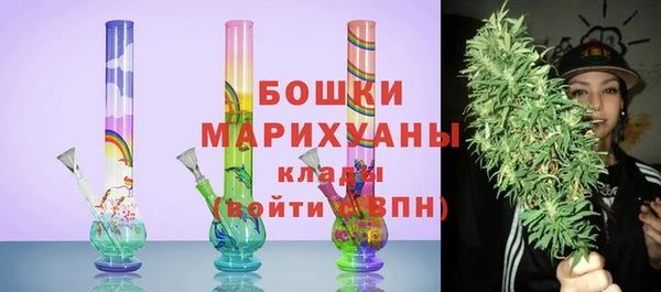 хмурый Мегион