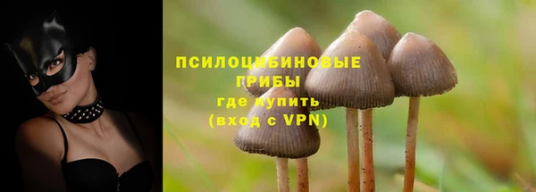 а пвп мука Медногорск