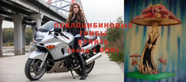 хмурый Мегион